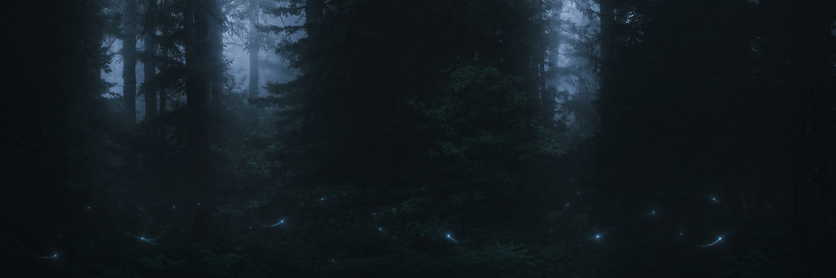 Blue Ghost Fireflies of WNC